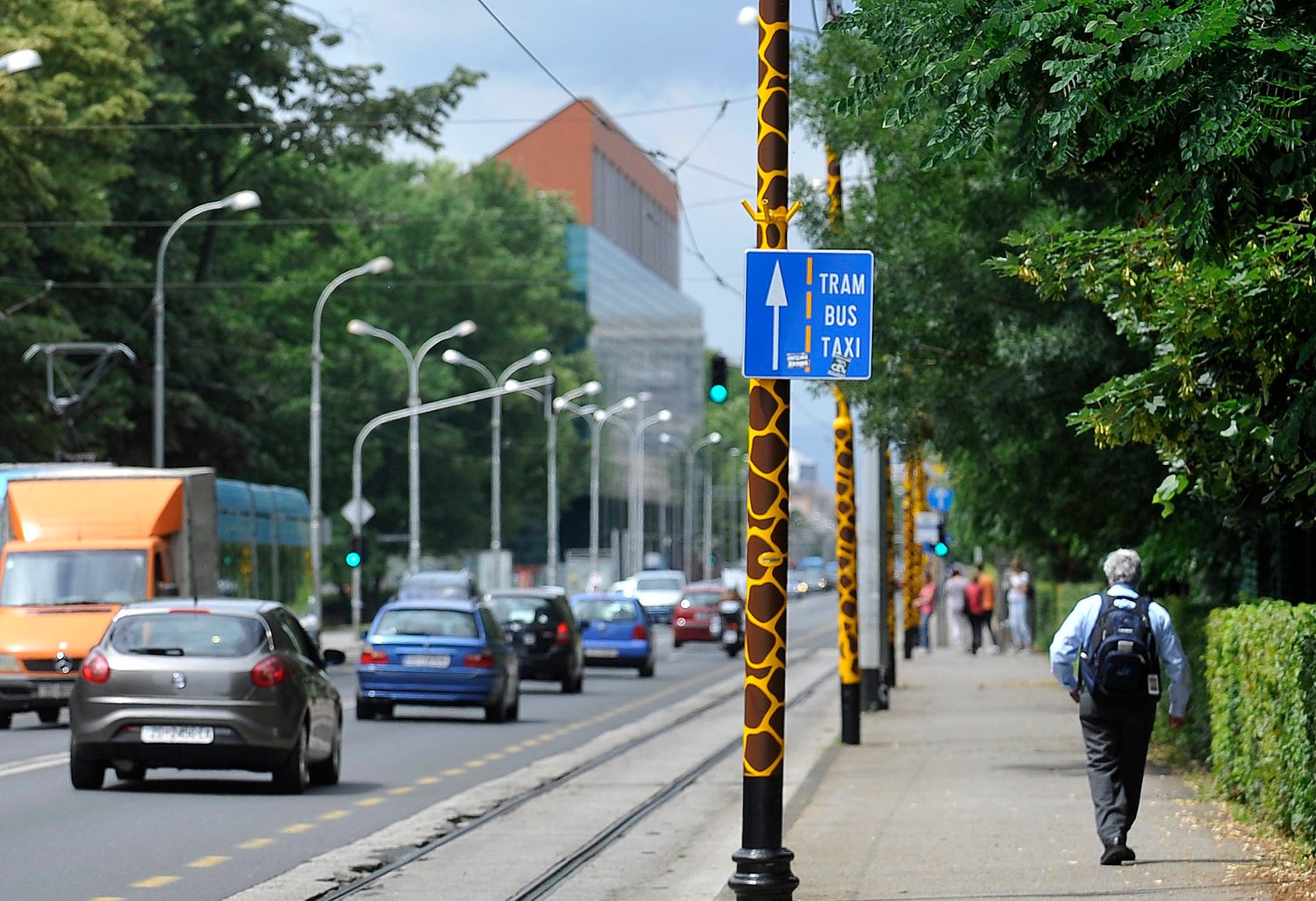 rodjendan_zoo01-090618