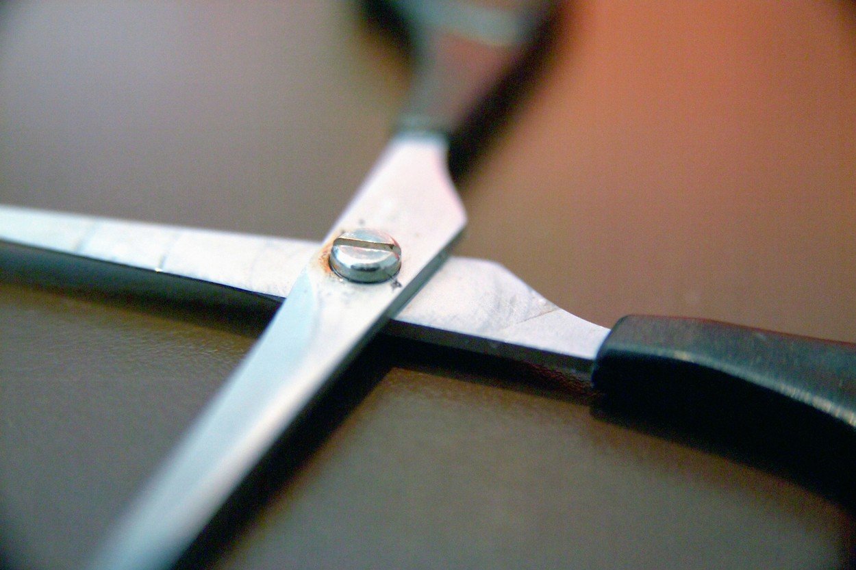 profimedia-0000790434