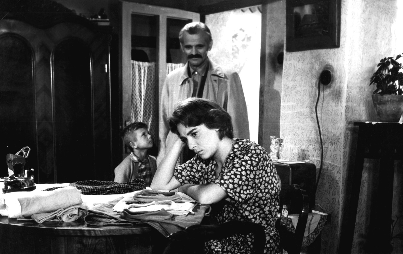 Marija-Kohn-i-Du-an-Stefanovi-