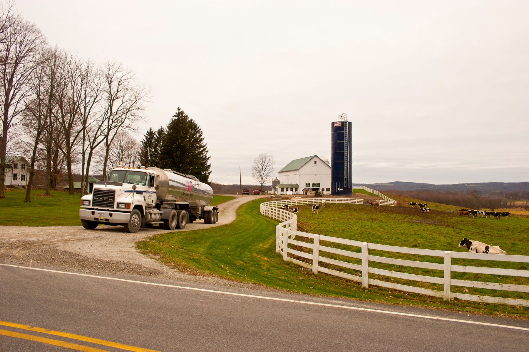 Ilustracija, kamion koji prevozi miljeko