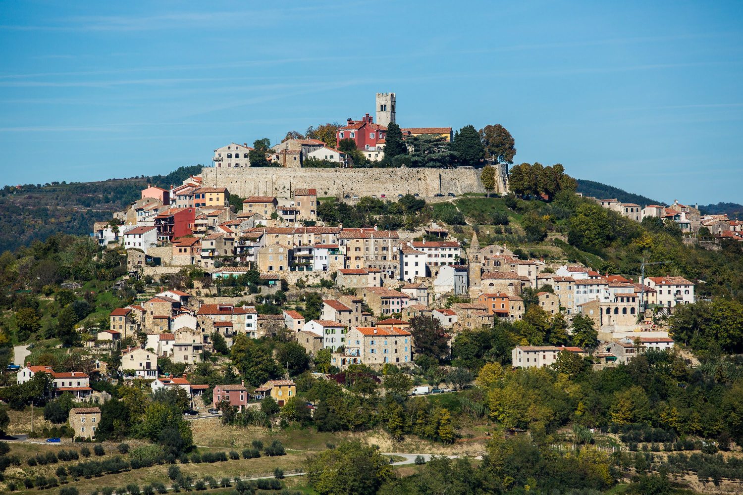 teran_tartufi25-241015