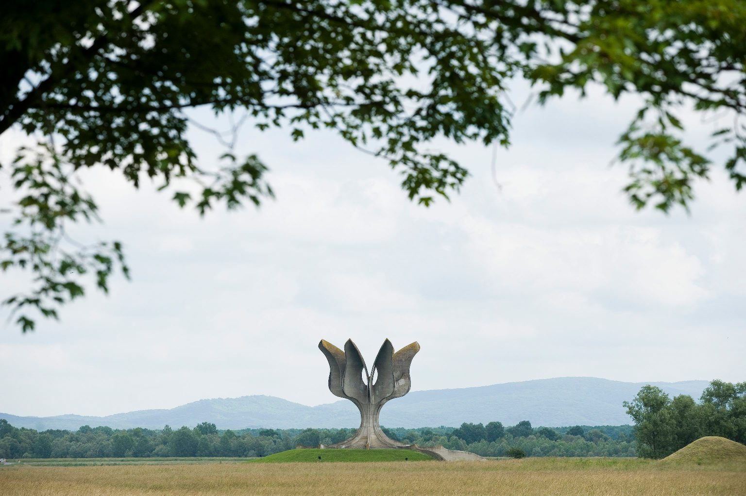 jasenovac-060613