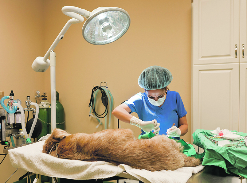 194731-247997-iStock-183342028