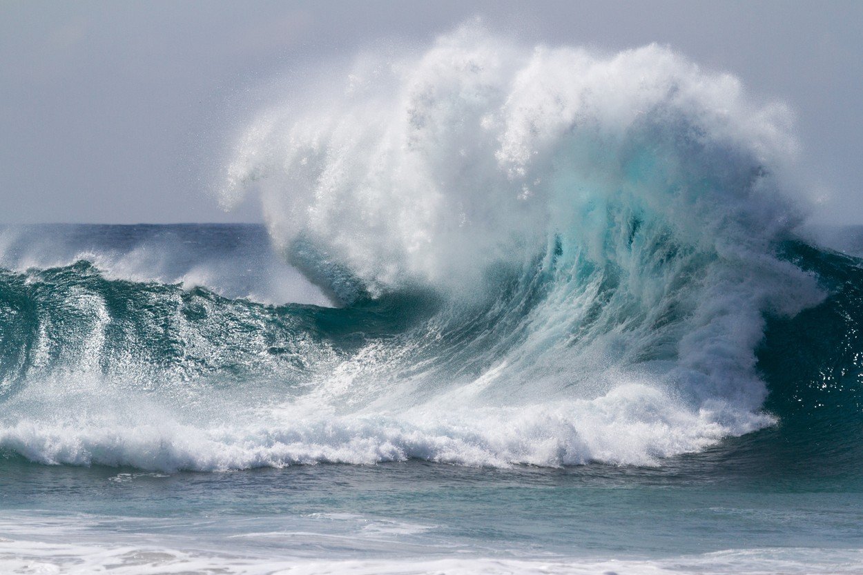 profimedia-0182671172