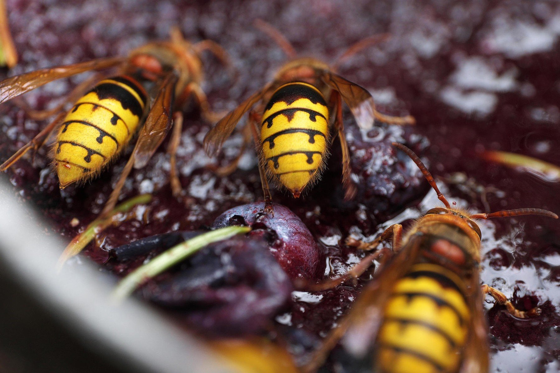 profimedia-0348078449