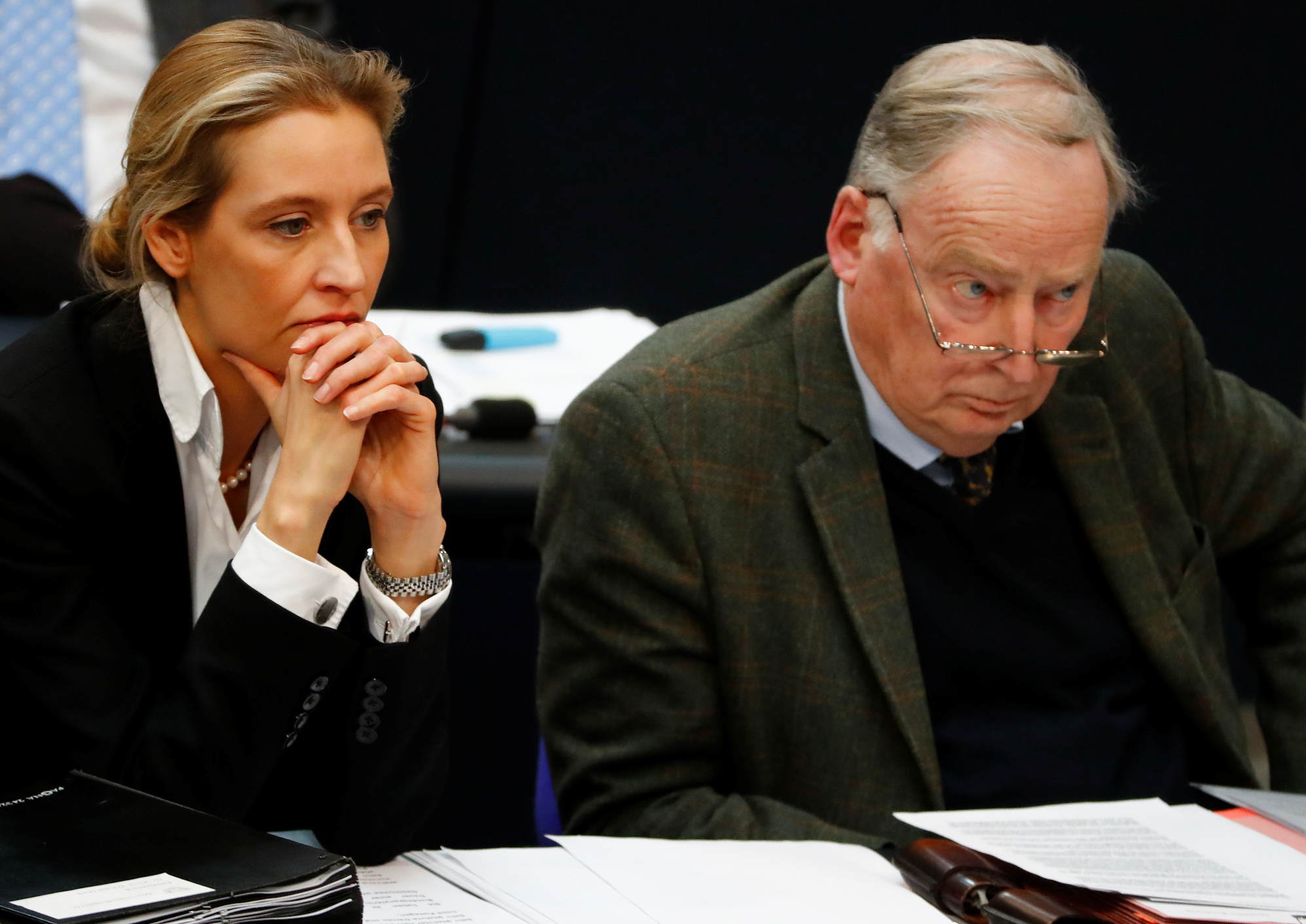 Alexander Gauland i Alice Weidel 