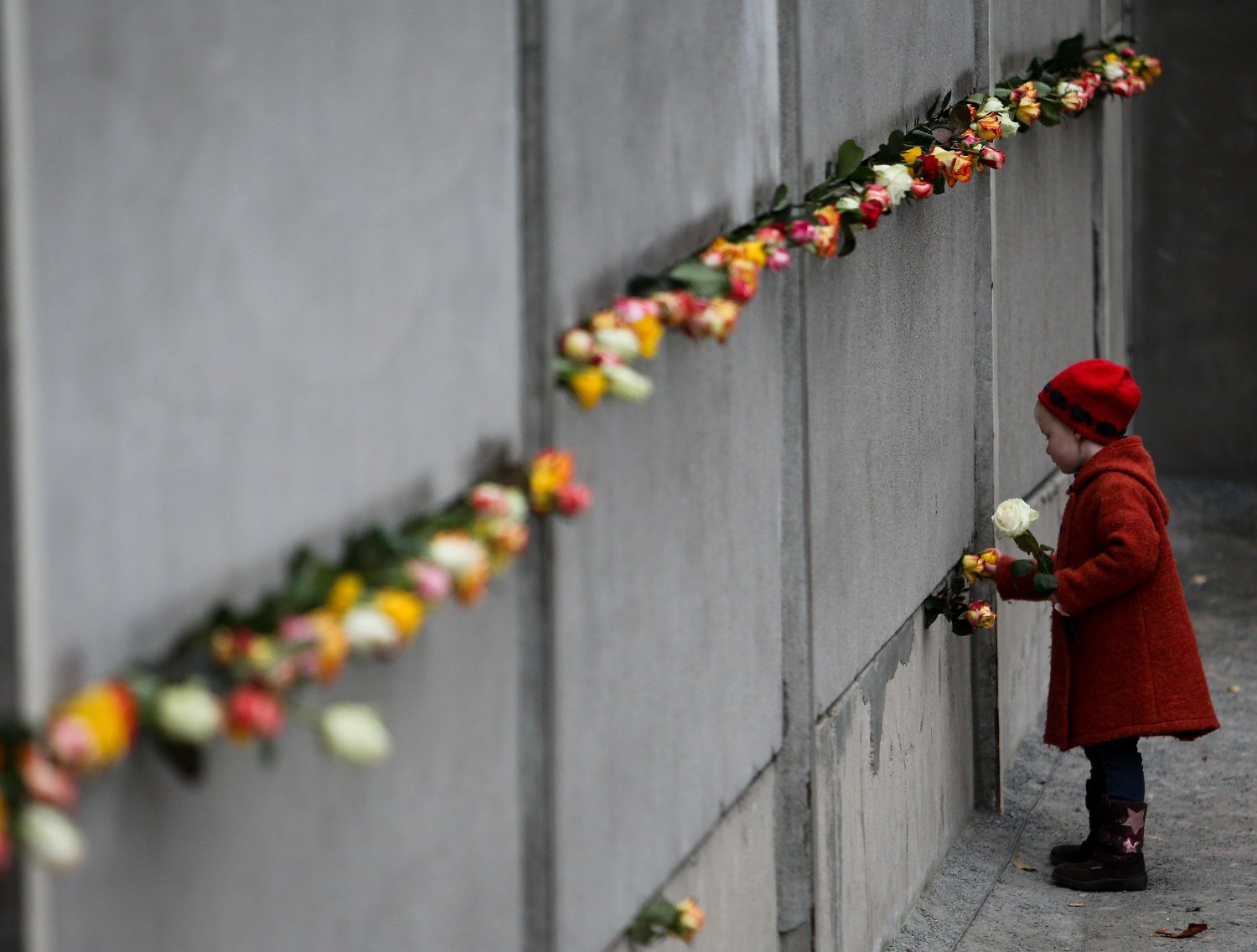 profimedia-0377098134