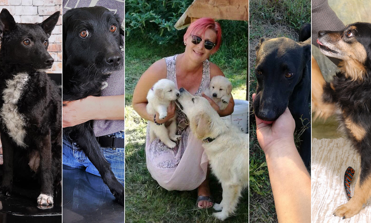 Anouk, Frieda, Melita Vukušić, Ludwig i Teo