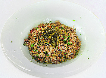 200557-256858-FPD_3118-2