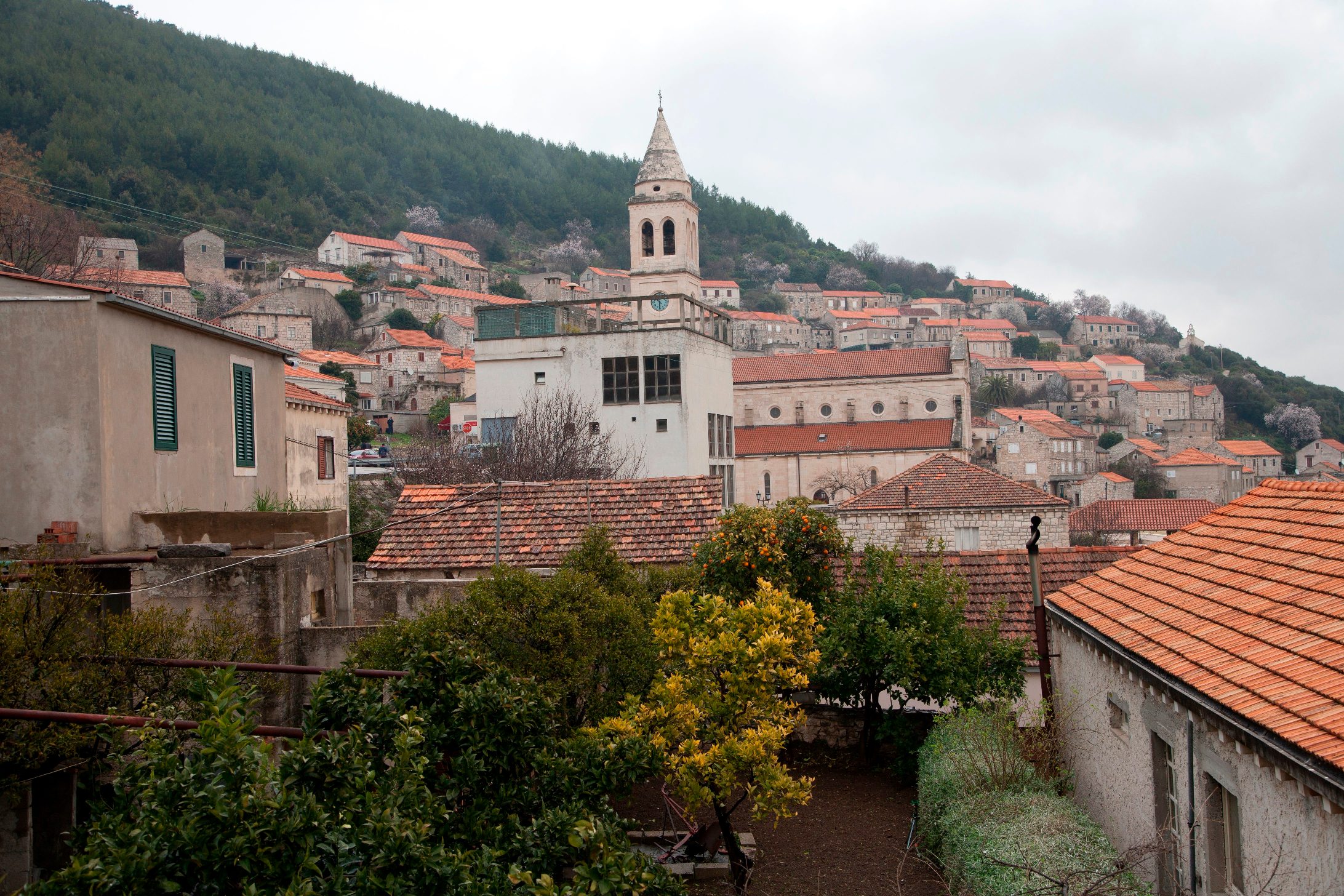 toreta_banicevic11-120312