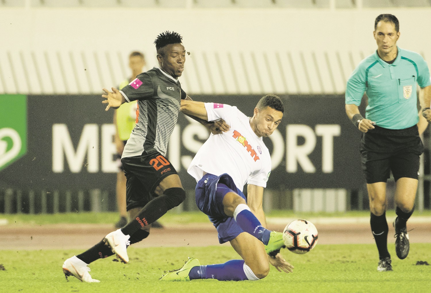 hajduk gorica