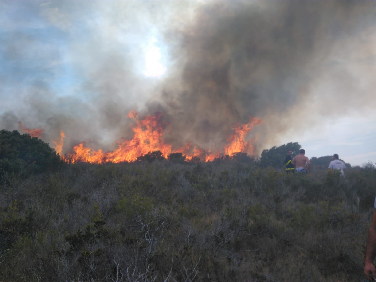 PHOTO-2018-08-26-17-16-14(1)