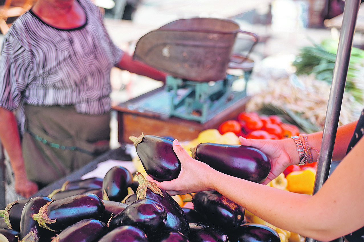 201757-258522-Faca_s_placa_-_Stefica_4