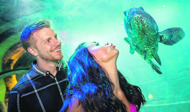 ako su još dva para nakon snimanja sezona u SAD-u u privatnim aranžmanima počela vezu i brak, Sean Lowe i Catherine jedini su koji su se “zaljubili po pravilima”, i to tako da ju je on odabrao u finalu sezone 2014. godine. Otada su u skladnom braku i imaju već dvoje djece. Njemu su 34 godine, njoj 32. Njihov recept: slavu i medije stavite po strani i jednostavno budite - skupa