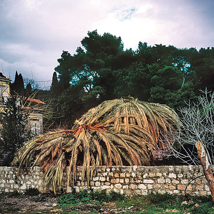 Borko Vukosav, iz ciklusa “Umiruće”