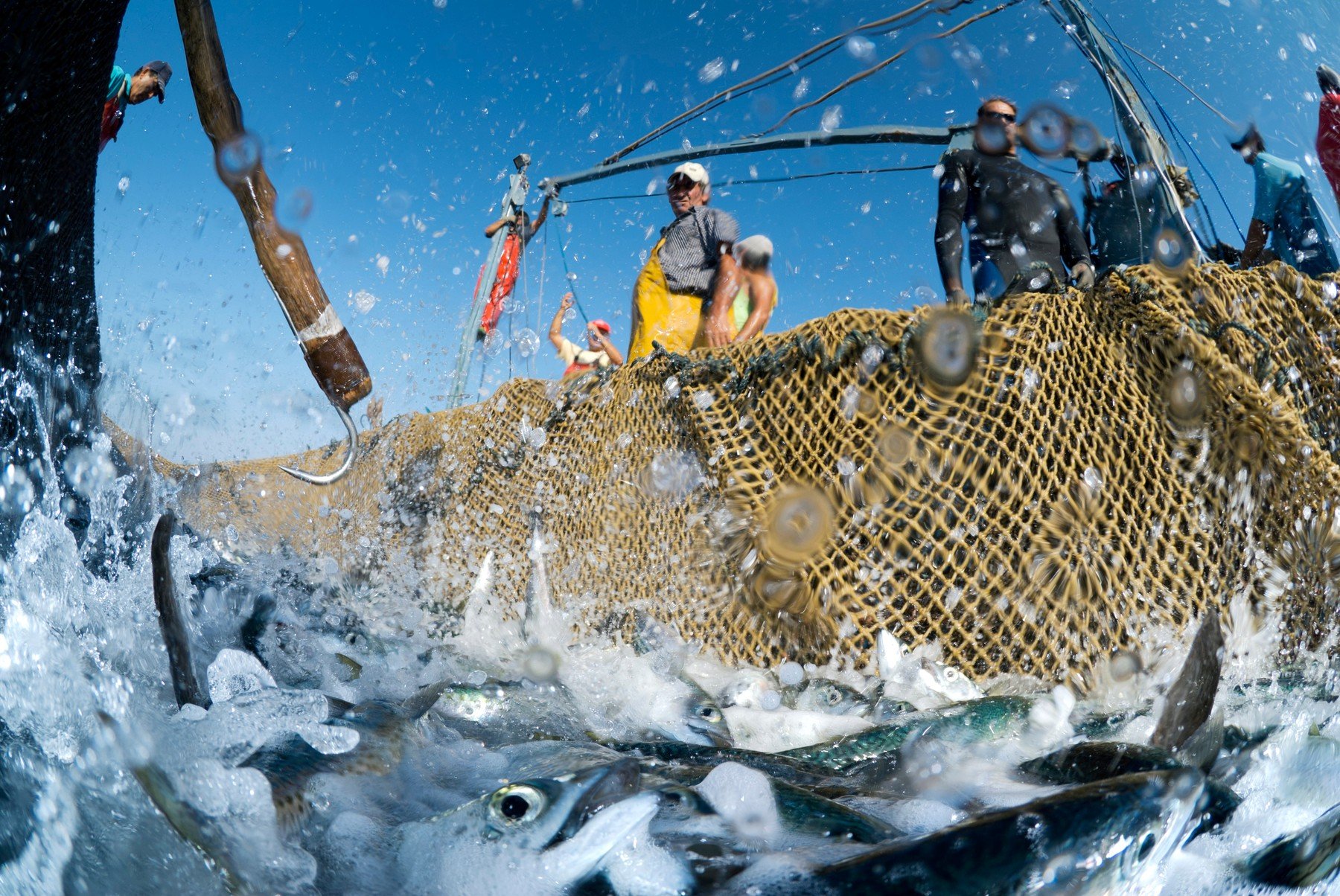 profimedia-0129110596