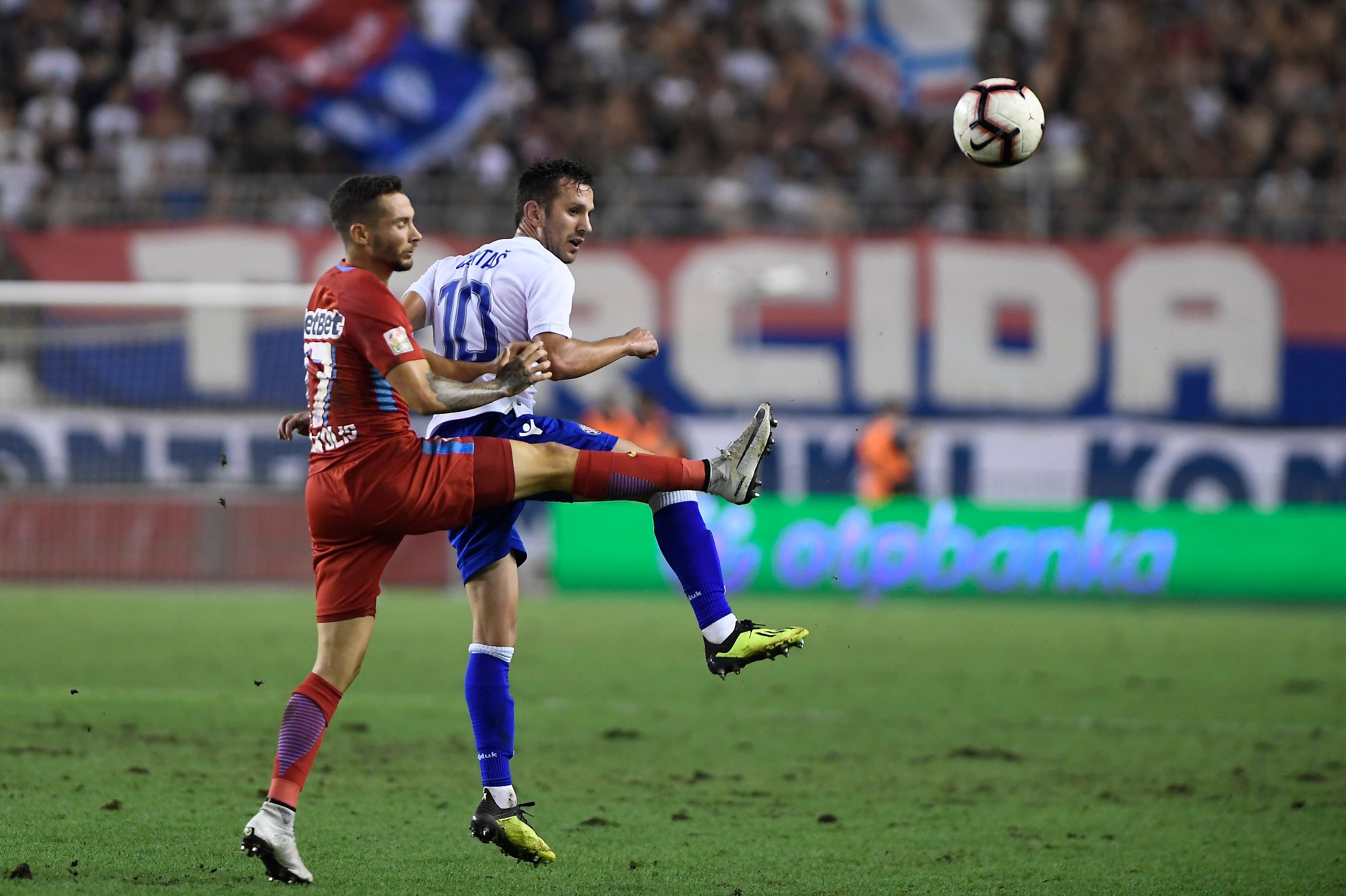 hajduk_steau110-090818