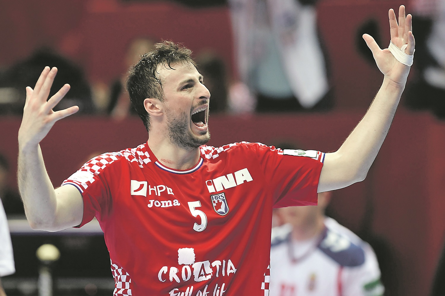 Domagoj Duvnjak