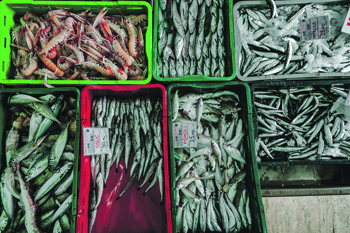 204954-262919-DSC_1709