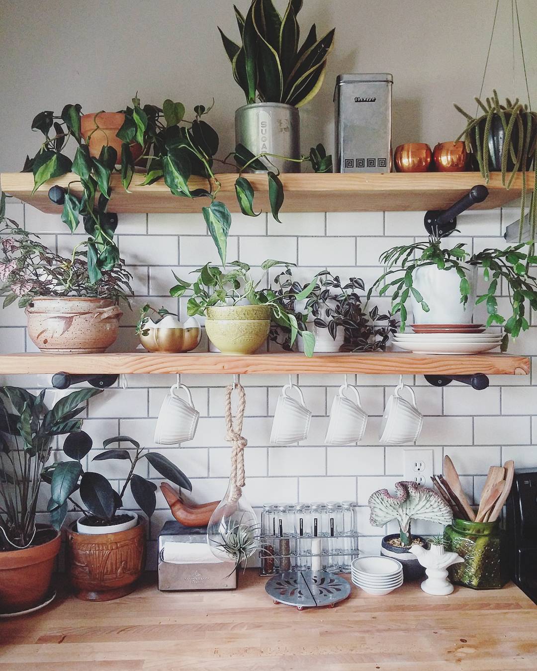 21295128_333869880411431_1905844269621444608_n