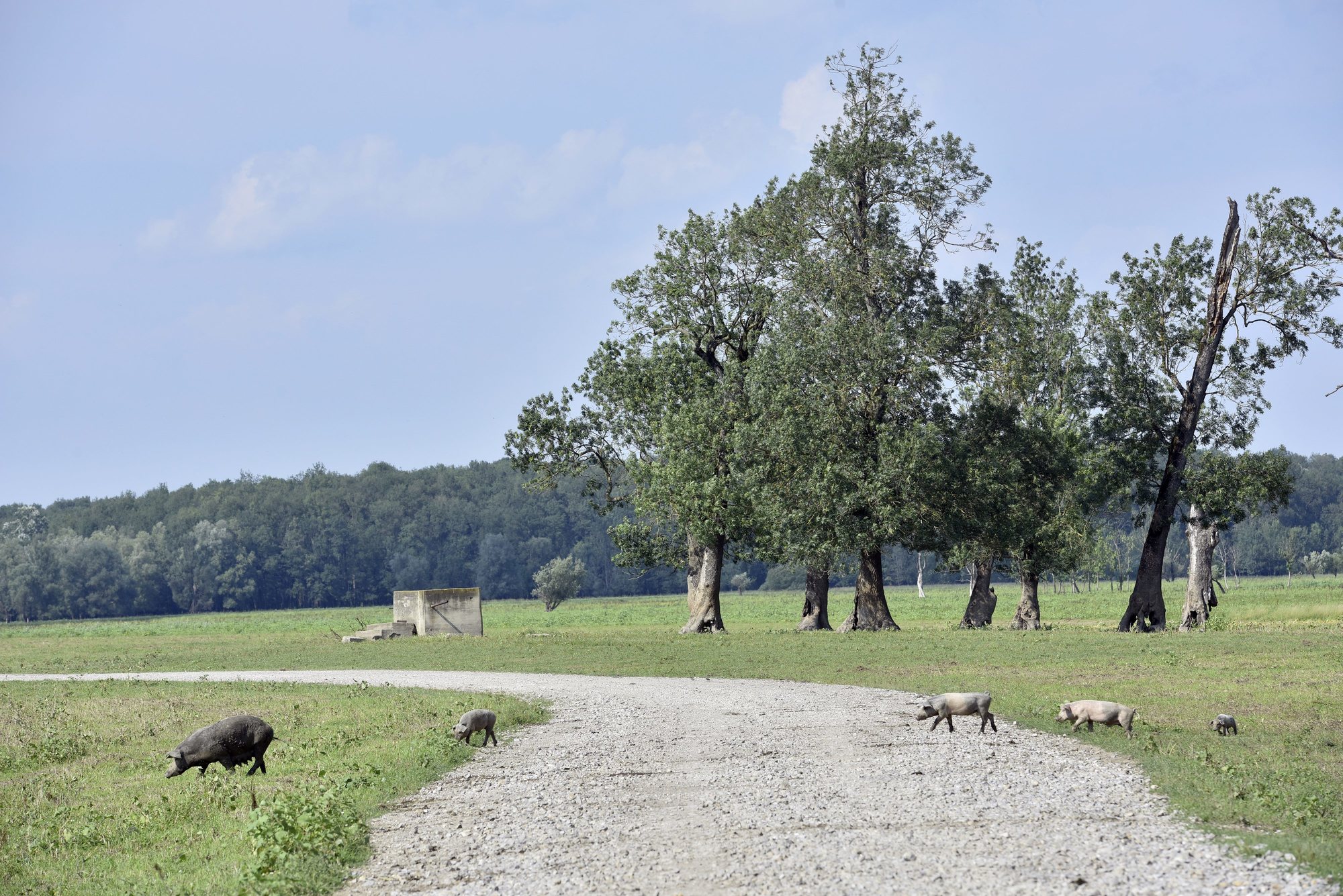 moslavina_reportaza59-180718