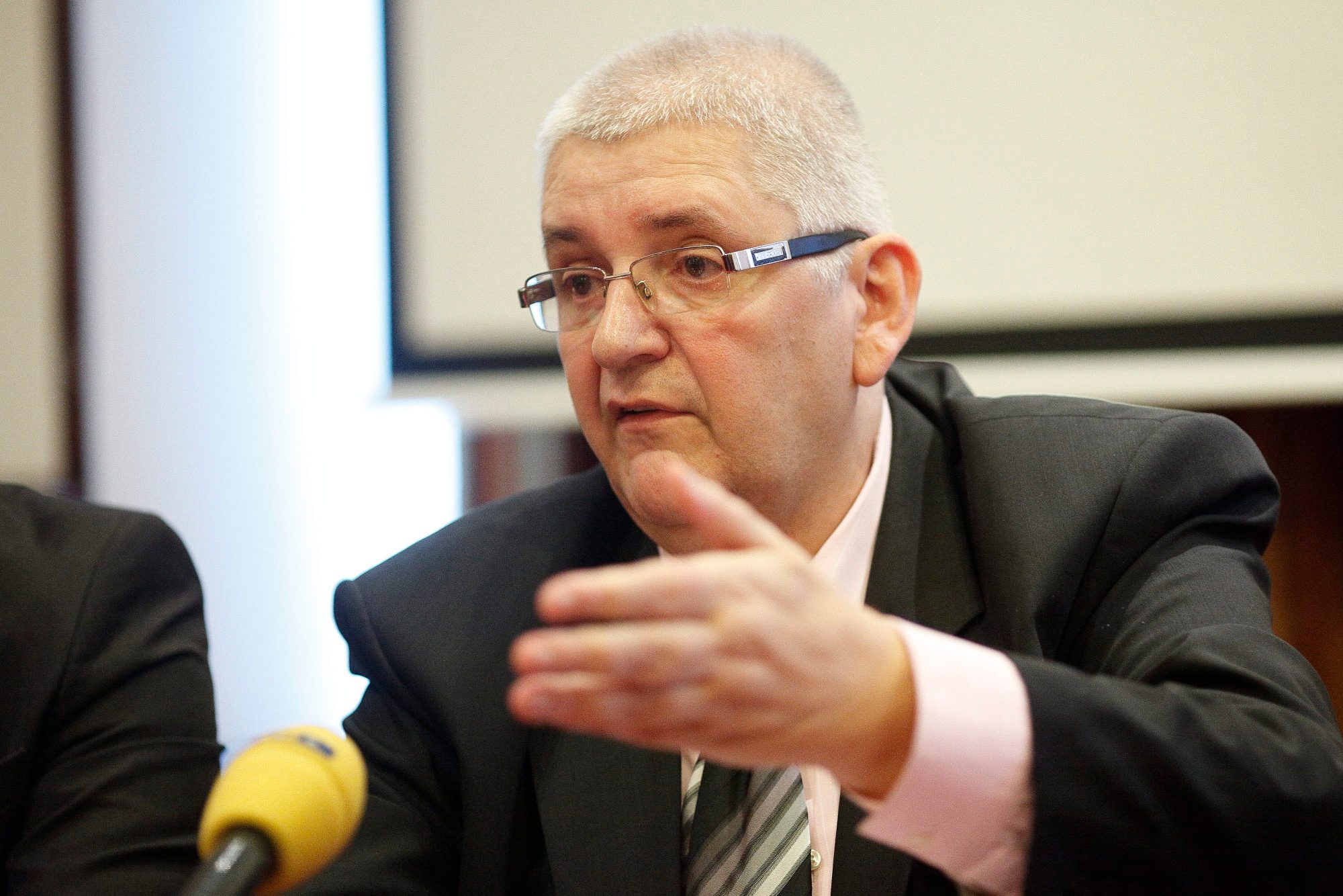 inicijativa_referendum11-061017