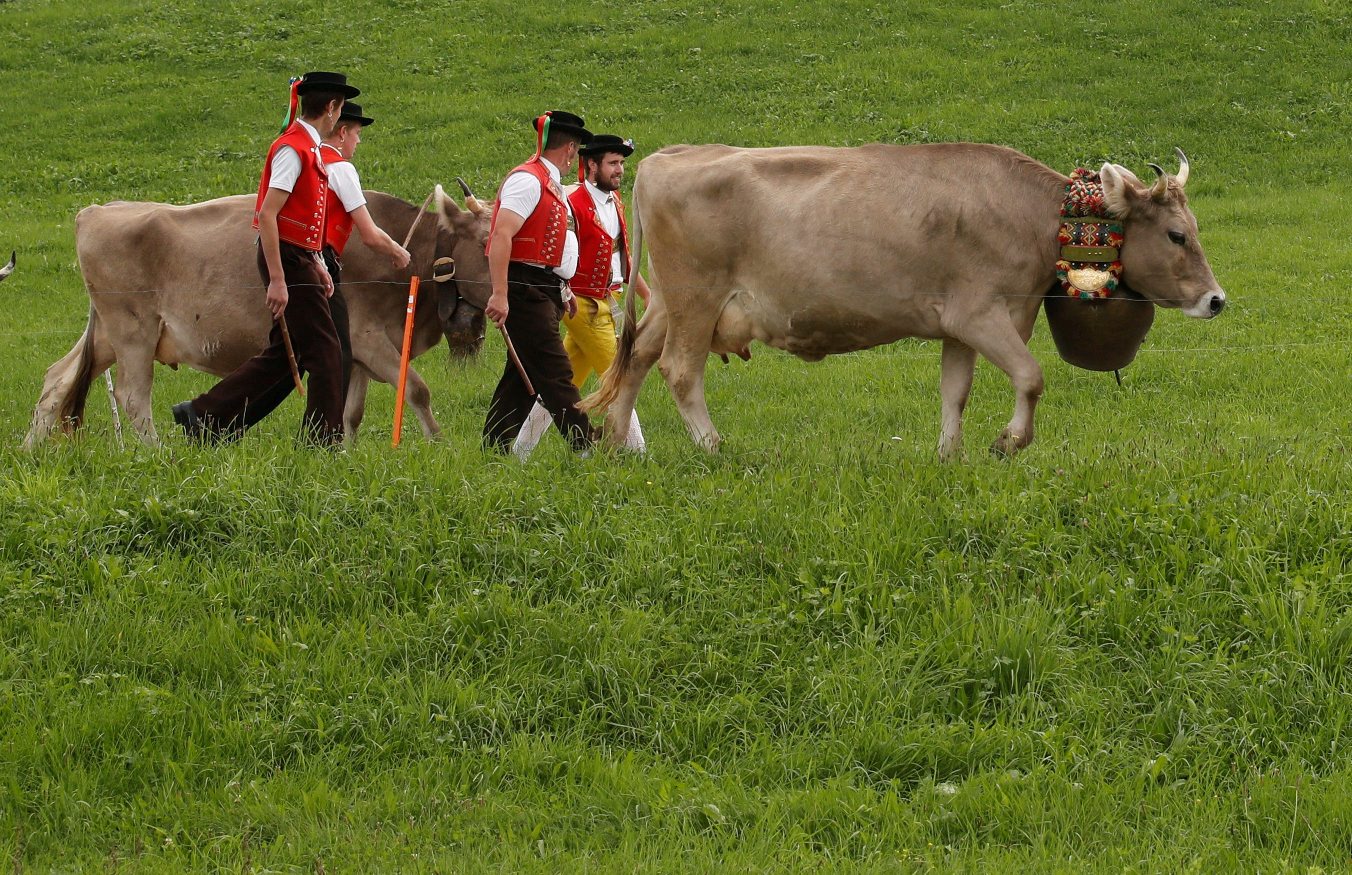 2018-09-23T120210Z_995872403_RC1108F87310_RTRMADP_3_SWISS-AGRICULTURE-REFERENDUM