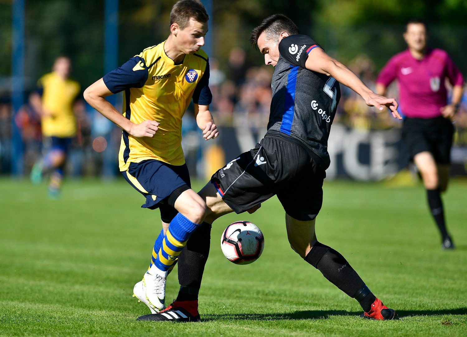 vrapce_hajduk16-260918