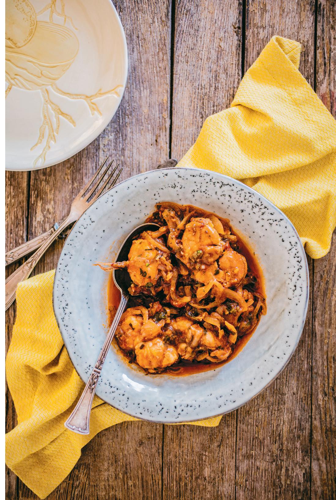 _2_Brujet_Hrvoje_Zirojevic-page-001