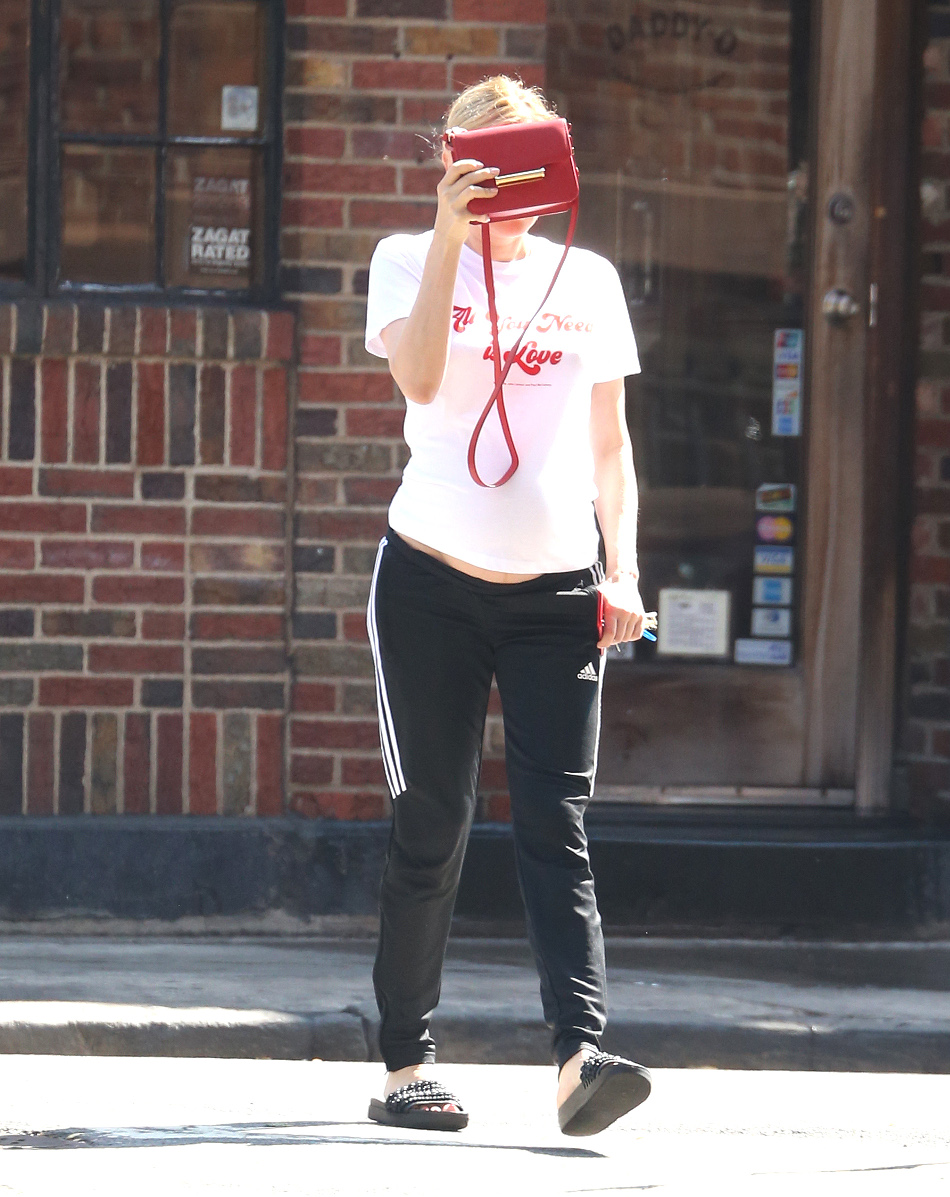 DianeKruger_trudnica09