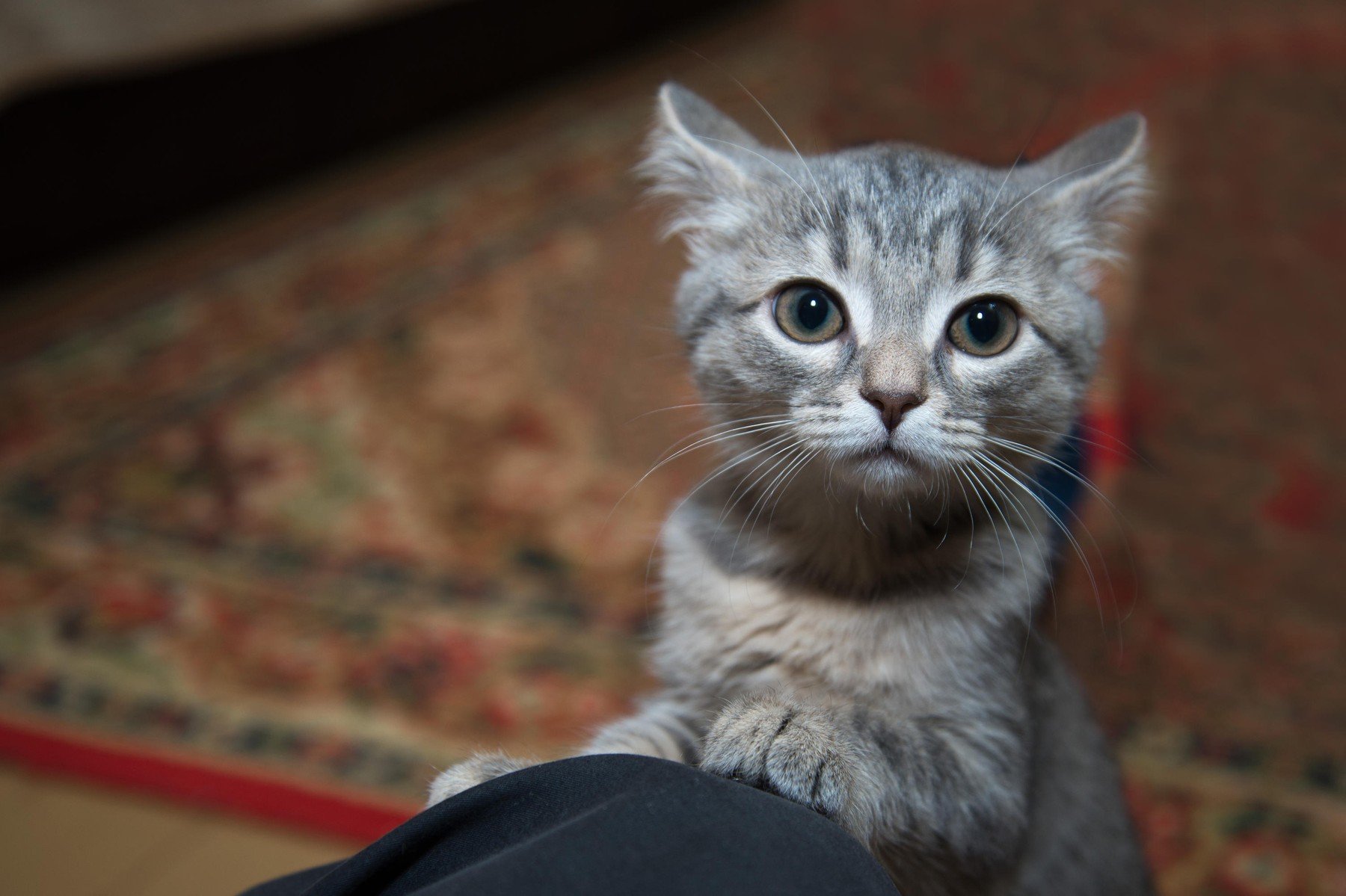 profimedia-0405838089