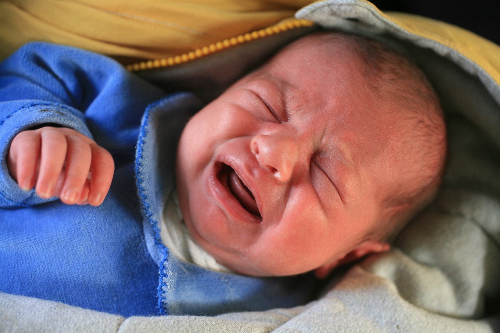 profimedia-0041948791