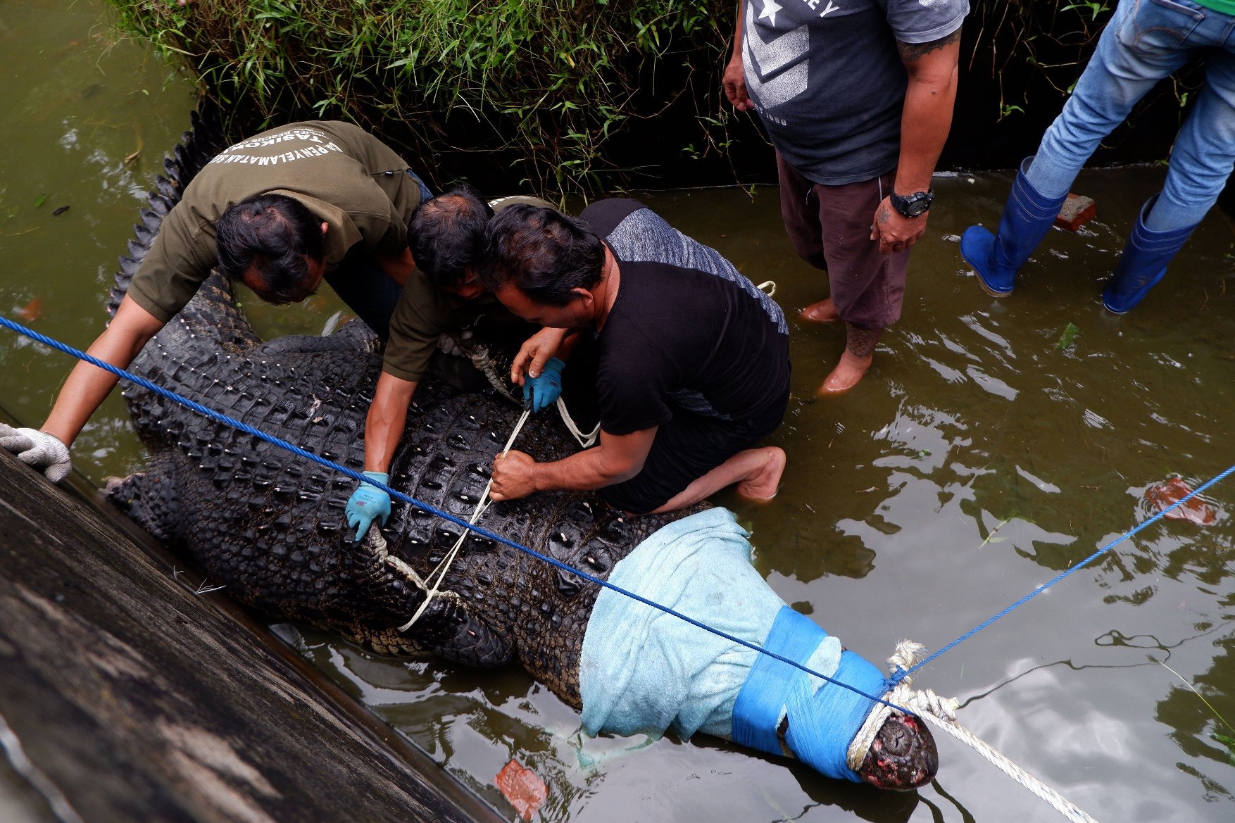 profimedia-0407690641