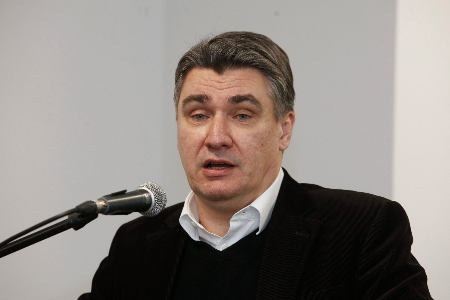Zoran Milanović