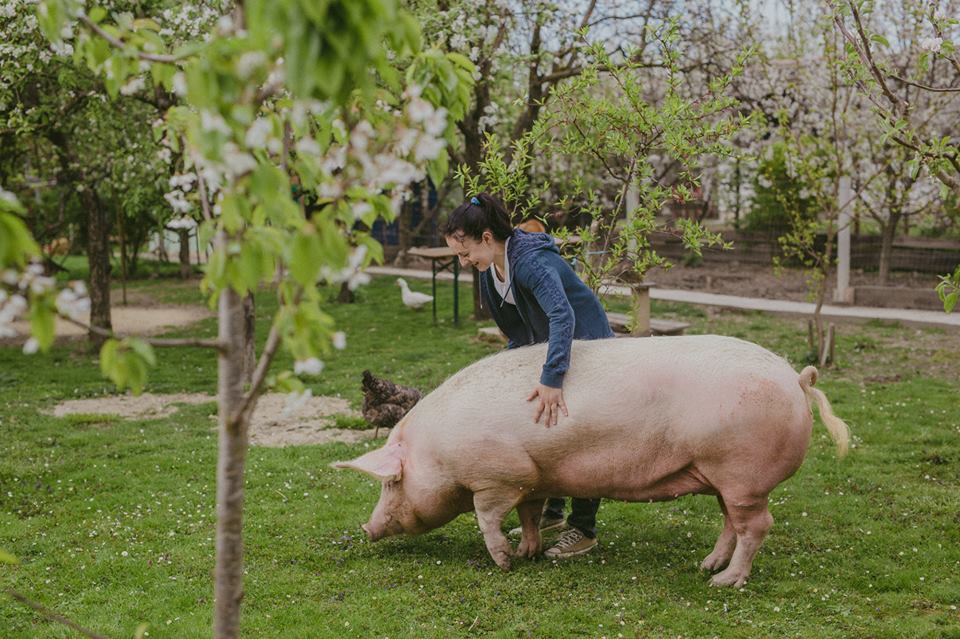 Super Ljilja sa skrbnicom