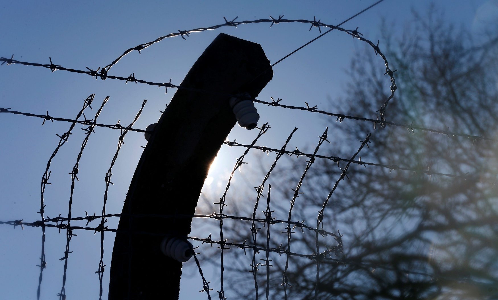 2019-01-25T140721Z_1442015488_RC18EFAD3760_RTRMADP_3_HOLOCAUST-MEMORIAL-GERMANY-AFD