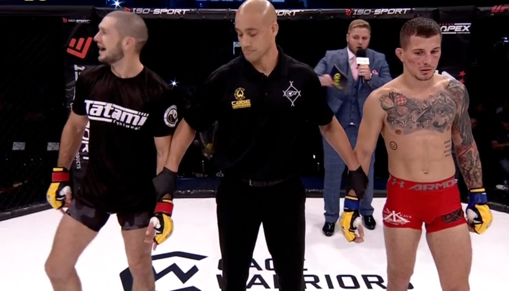 Josh Reed vs. Ivan Zidar