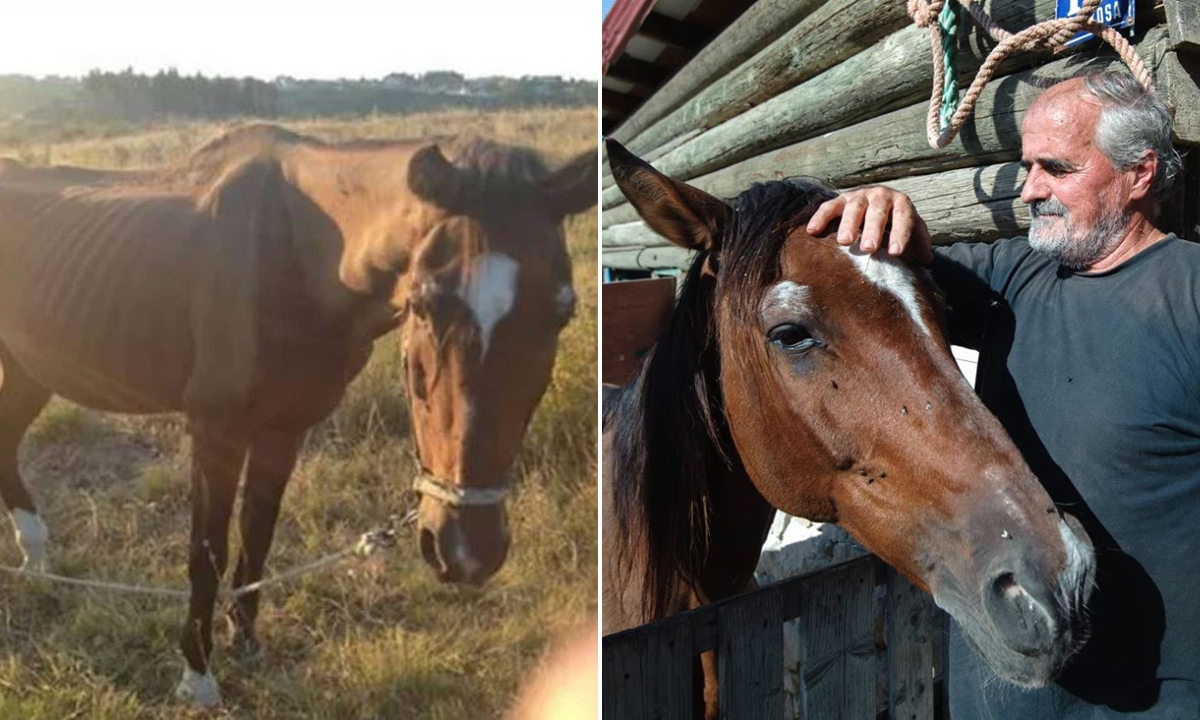 Lijevo: Fotografija koja se proširila Facebookom; desno: Mirko Bubić i Pančo