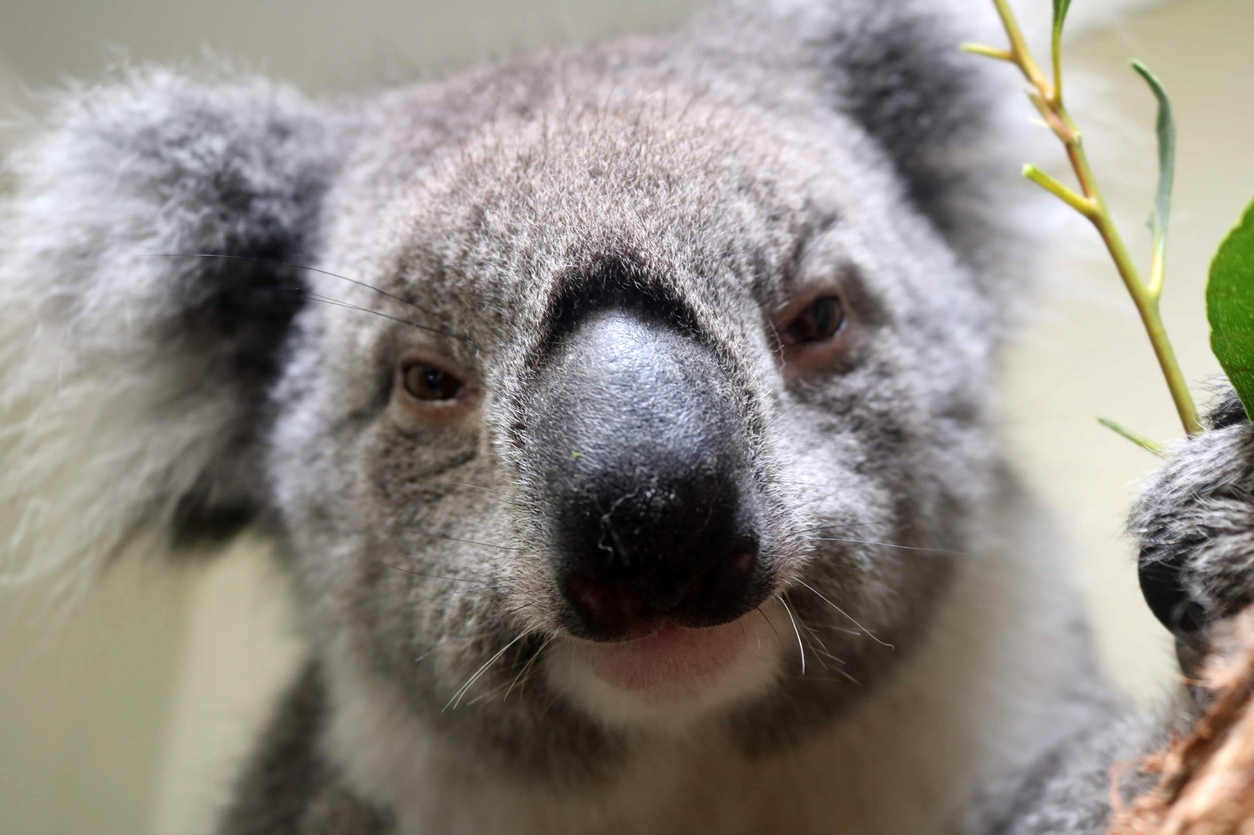 profimedia-0476500148