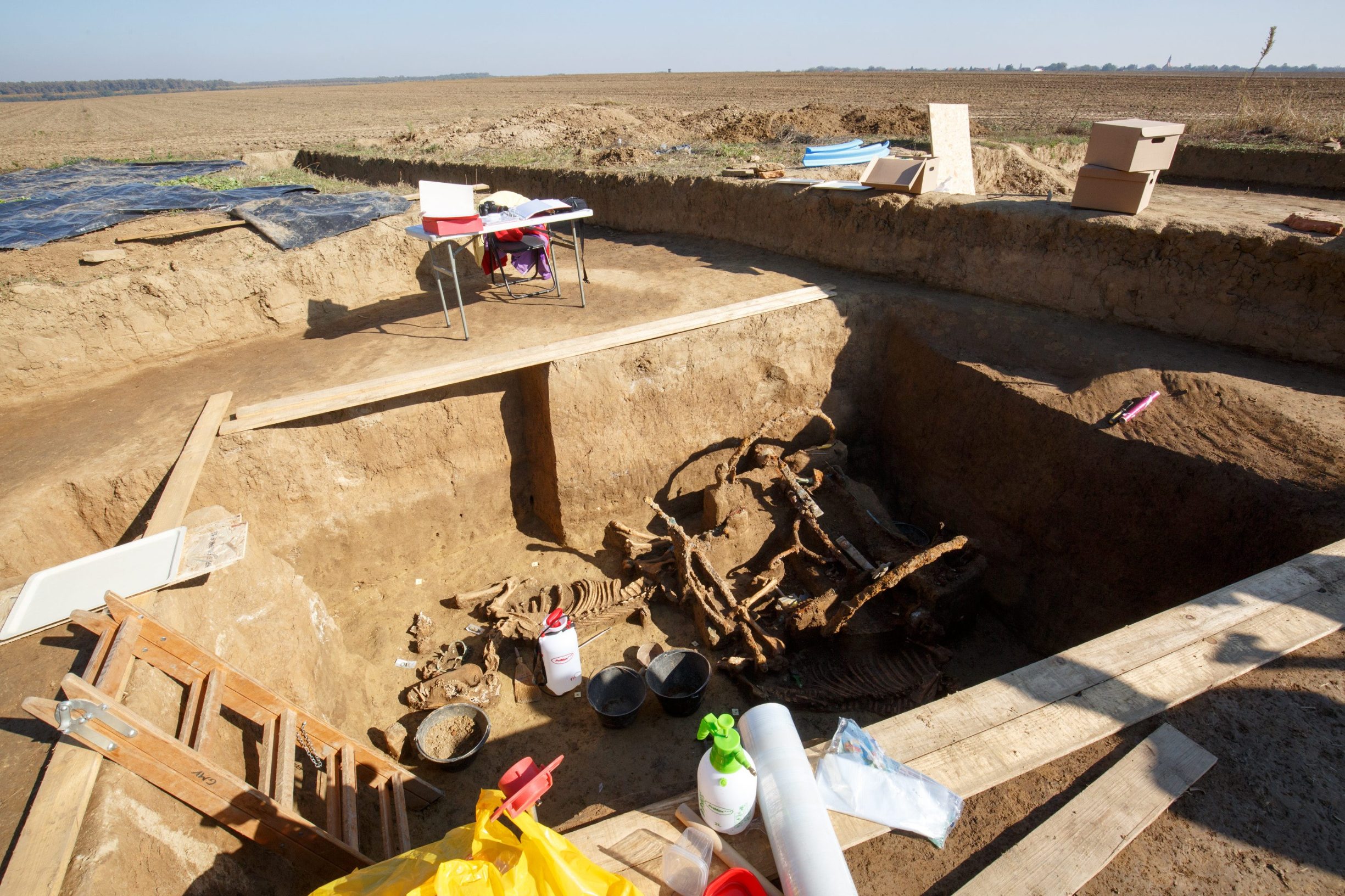 kocija_jankovci-151019-1