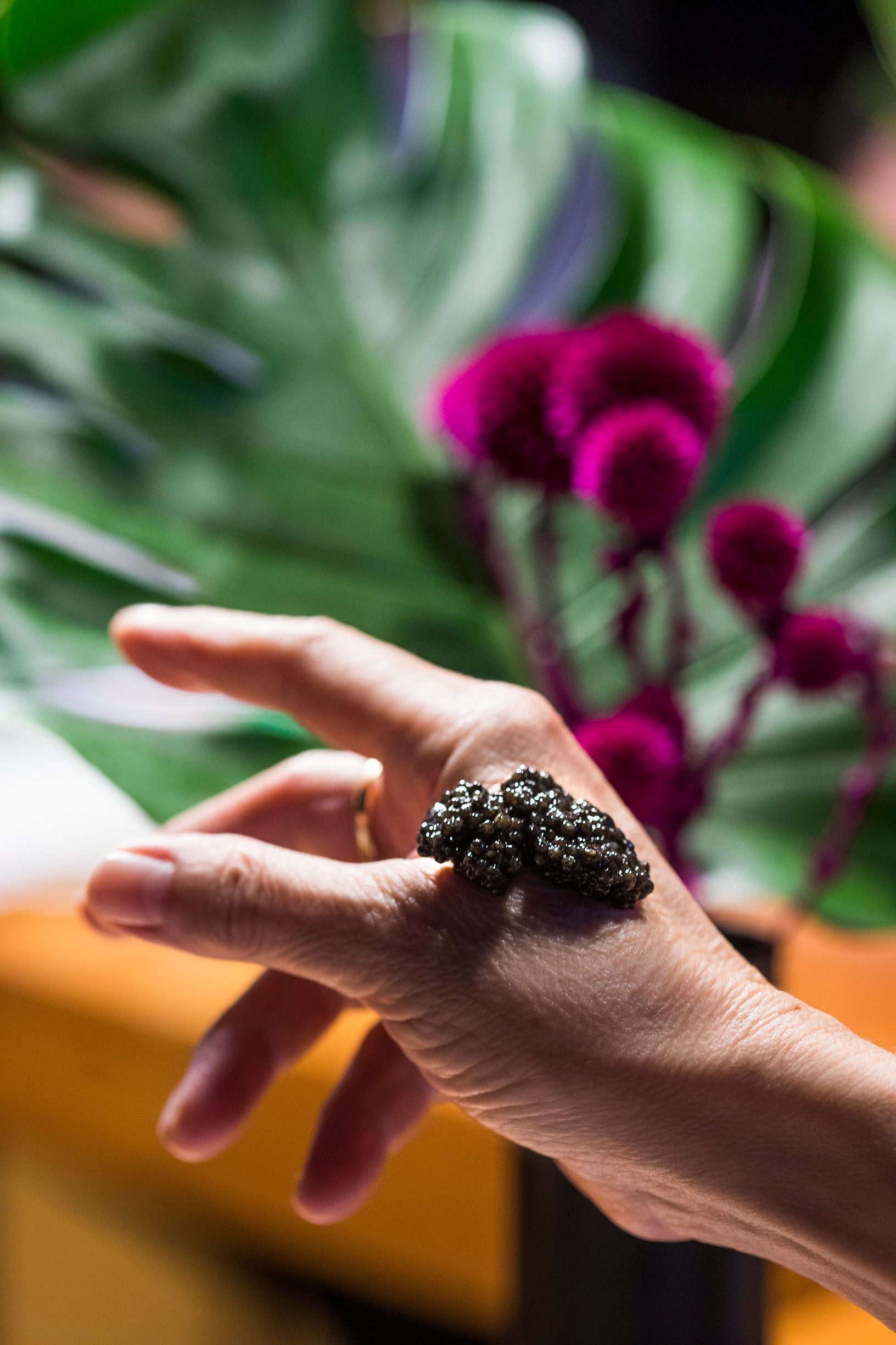 kavijar_prezentacija6-240919