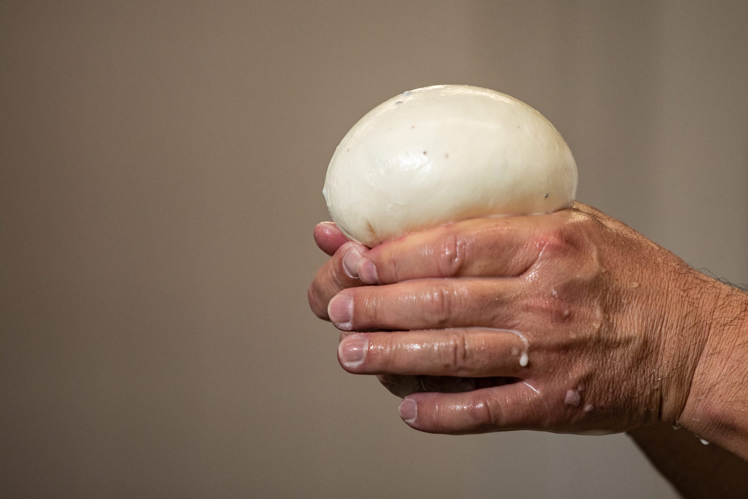 mljekara_latus22-031019