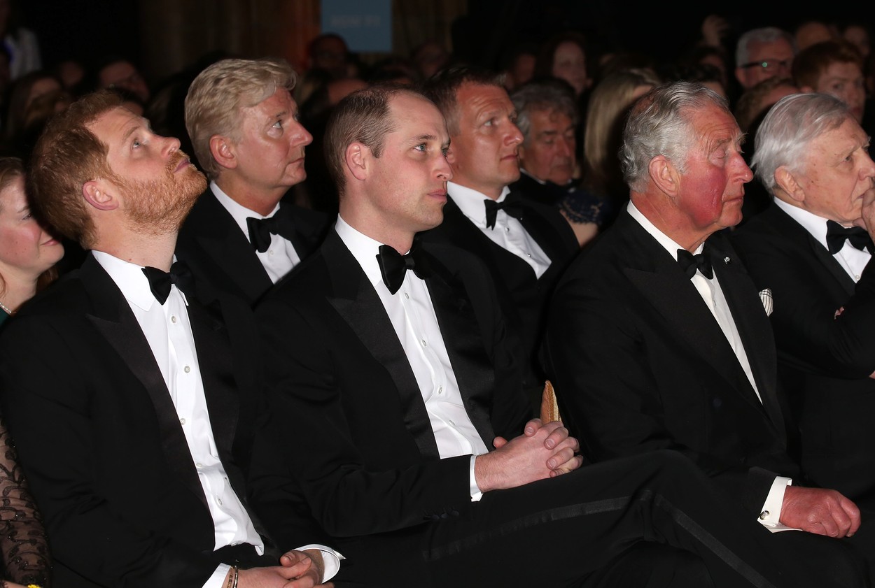 profimedia-0424364063