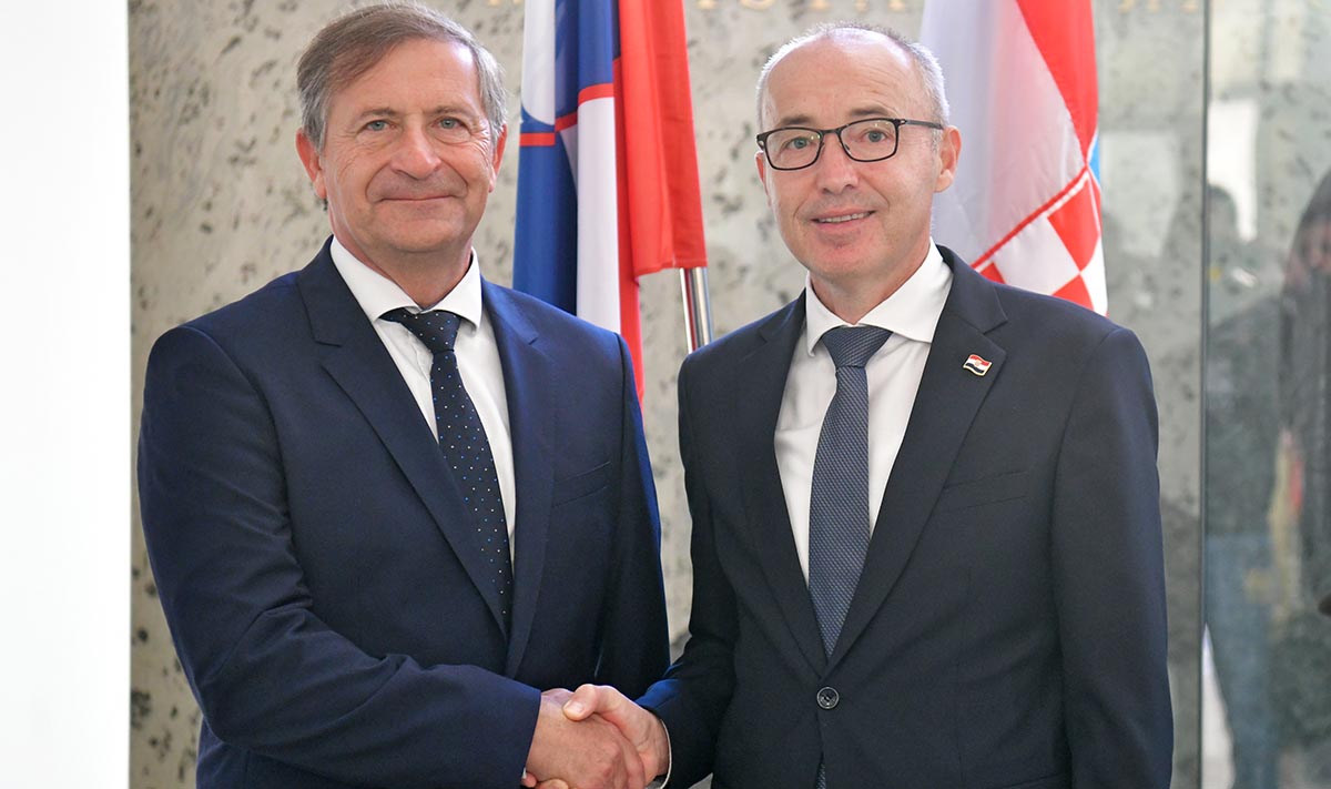 Karl Erjavec i Damir Krstičević