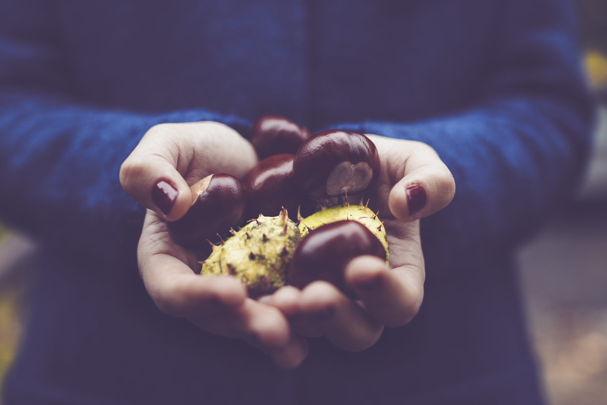 iStock-492309276