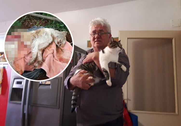 gospodin Ivan Papac s mačkom Junom