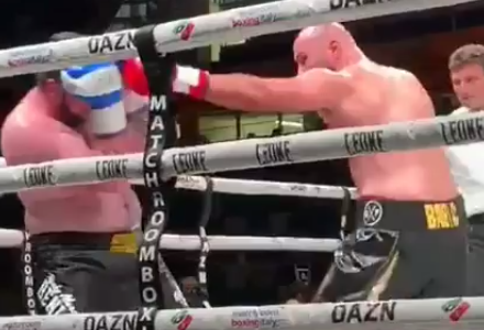 Gogichashvili vs Babić