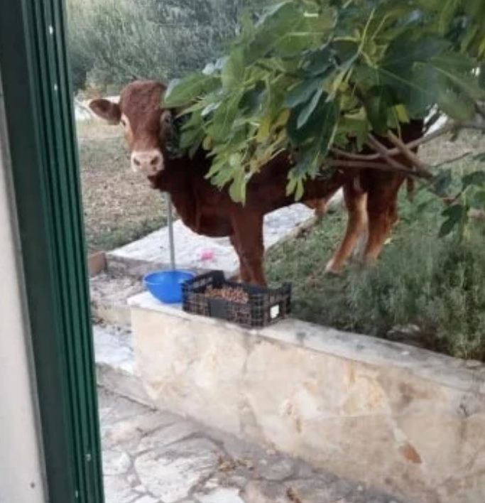 74242337_10218771411188901_2406242186199826432_n