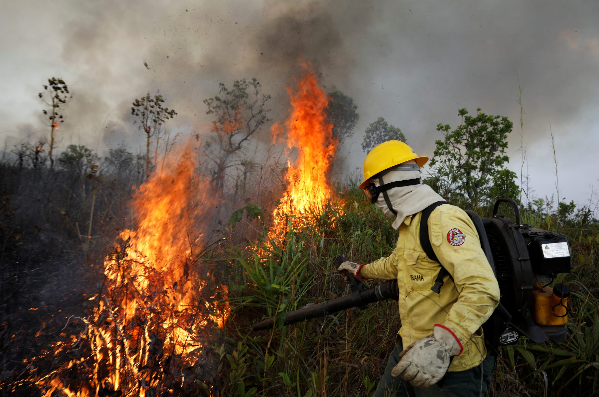 2019-10-11T144931Z_1747705920_RC16F59BEC10_RTRMADP_3_BRAZIL-ENVIRONMENT
