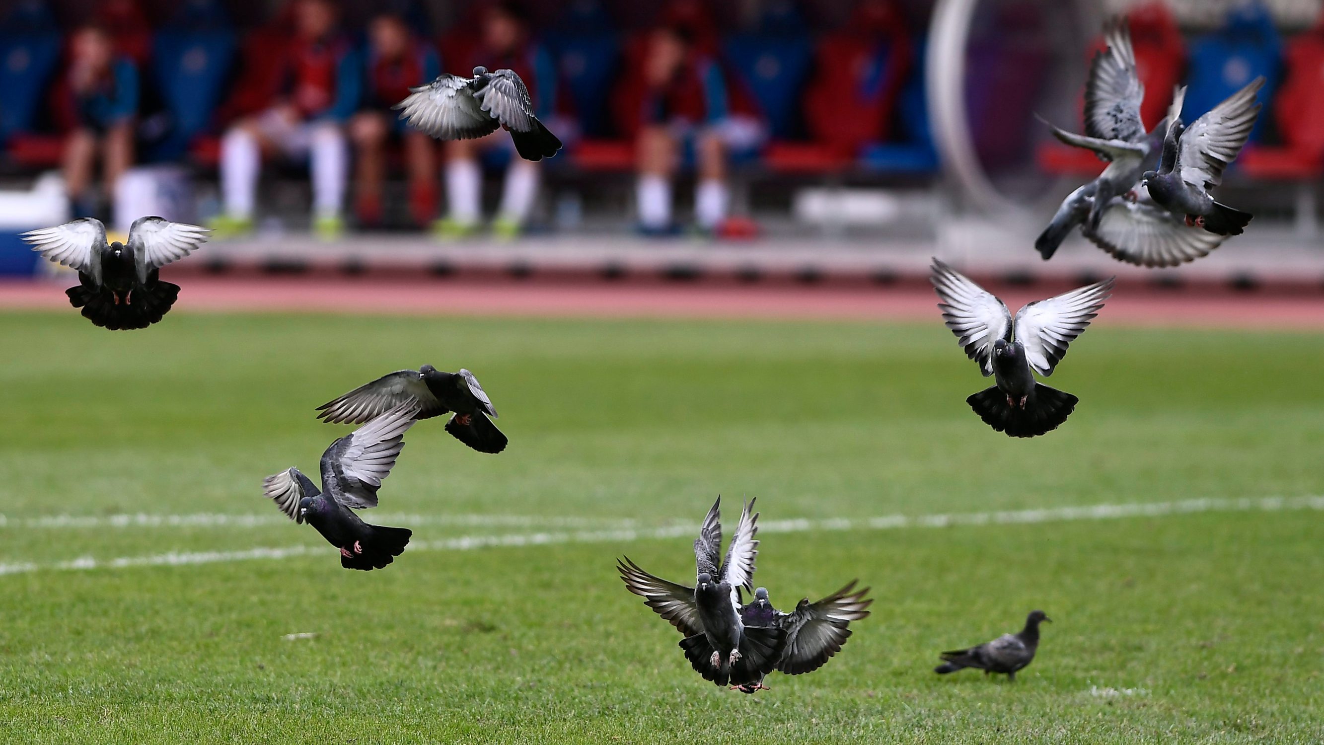 hajduk_varazdin25-051019